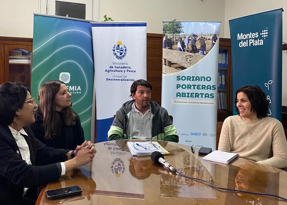 Proyecto 