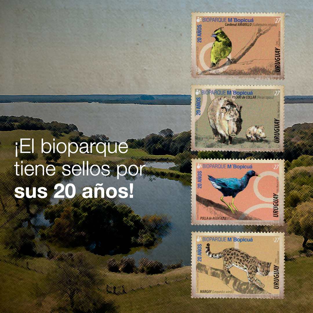 El Correo Uruguayo reconoce la labor del Bioparque M’Bopicuá de Montes del Plata con la presentación de una Hoja Filatélica