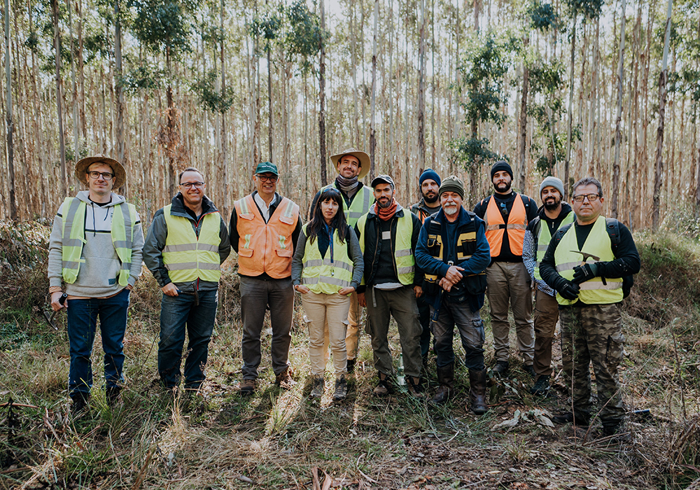 Científicos brasileños y uruguayos relevaron el campo forestal de Montes del Plata donde fueron hallados huevos de dinosaurios