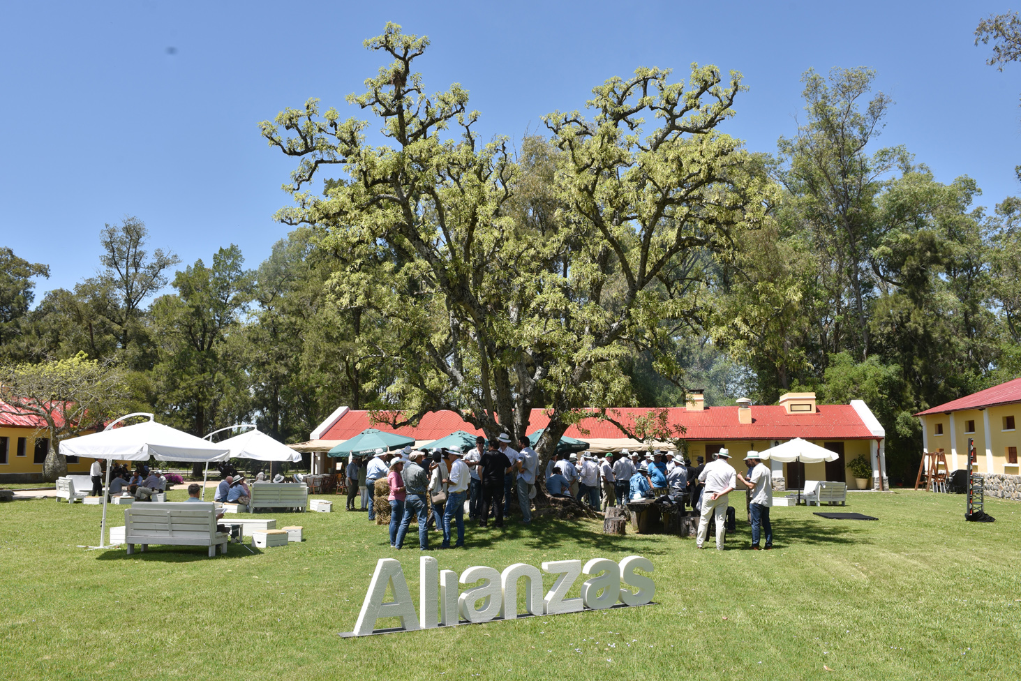 Encuentro de Montes del Plata Alianzas