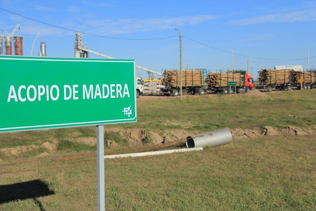 Montes del Plata recibió en Punta Pereira el primer cargamento de madera 