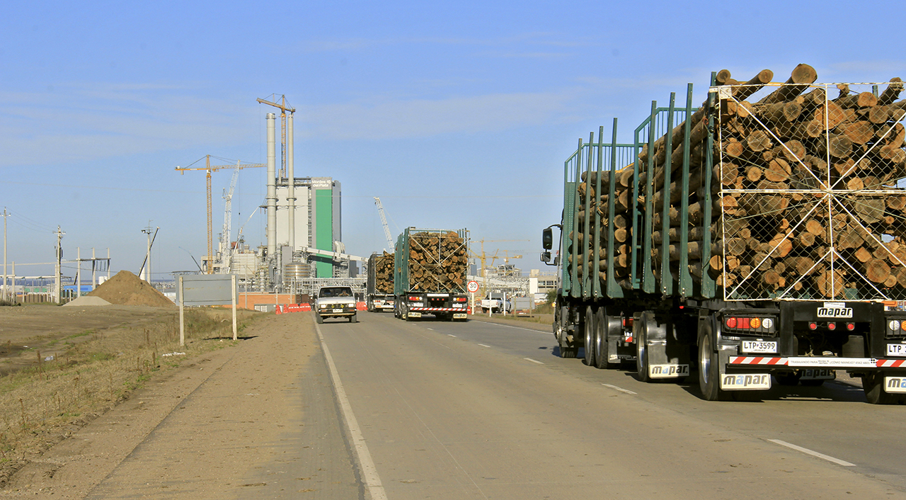 Montes del Plata recibió en Punta Pereira el primer cargamento de madera 
