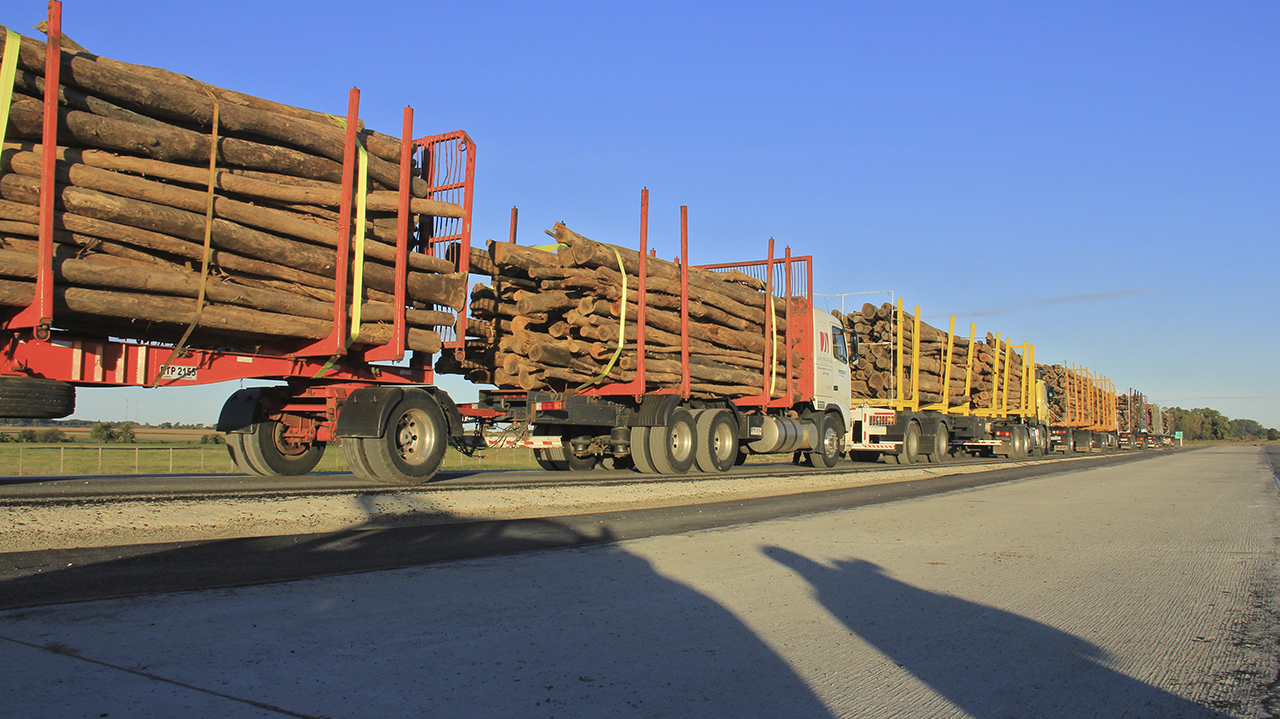 Montes del Plata recibió en Punta Pereira el primer cargamento de madera 