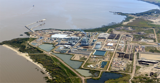 Montes del Plata inició su producción industrial