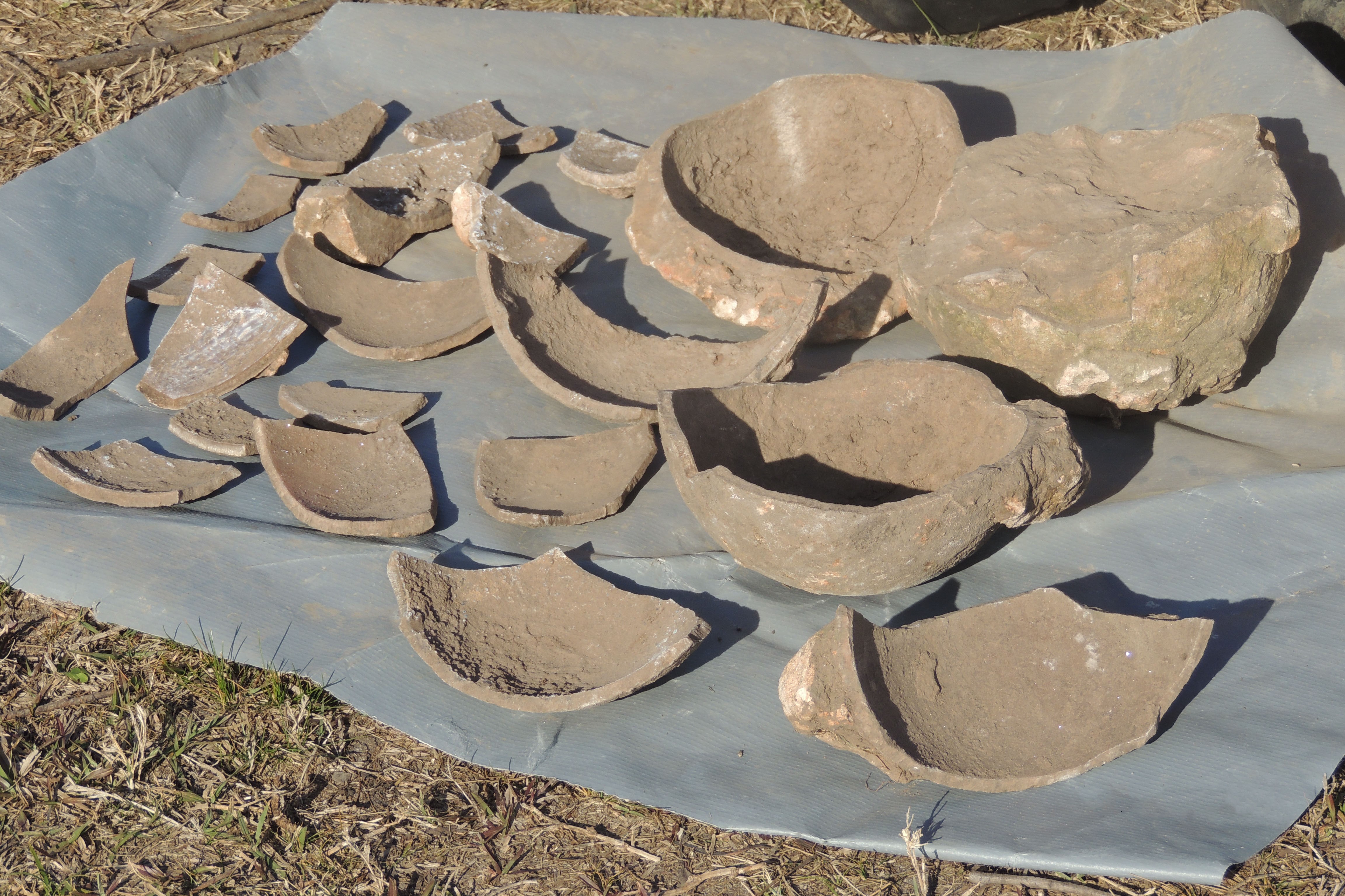 Investigan nidada de dinosaurios hallada en predios de Montes del Plata