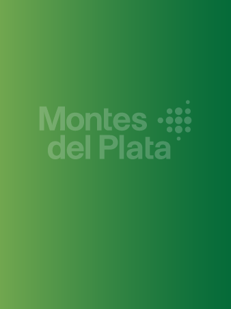 Políticas de Compra y Suministro de Madera