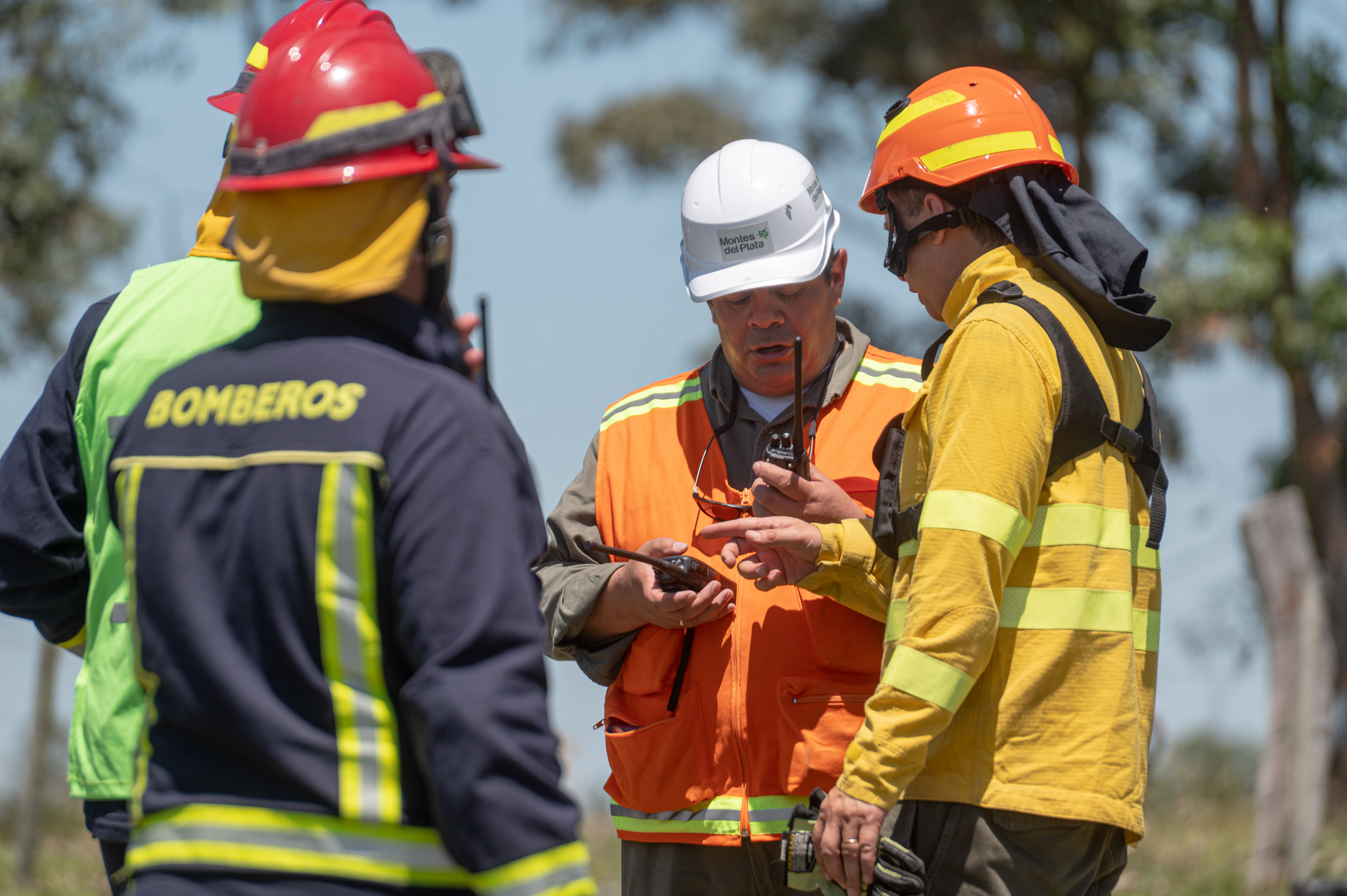 Nuestro plan de gestión de incendios forestales