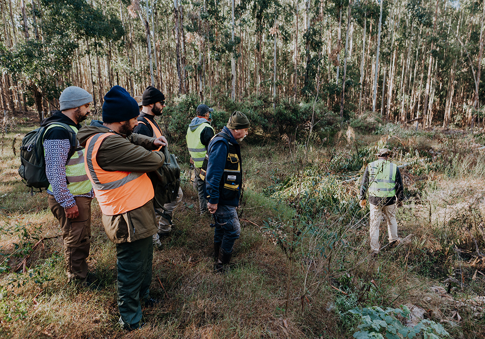 Científicos brasileños y uruguayos relevaron el campo forestal de Montes del Plata donde fueron hallados huevos de dinosaurios