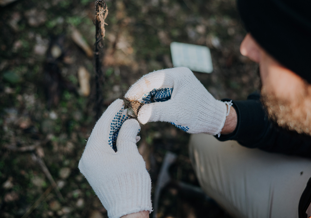 Científicos brasileños y uruguayos relevaron el campo forestal de Montes del Plata donde fueron hallados huevos de dinosaurios