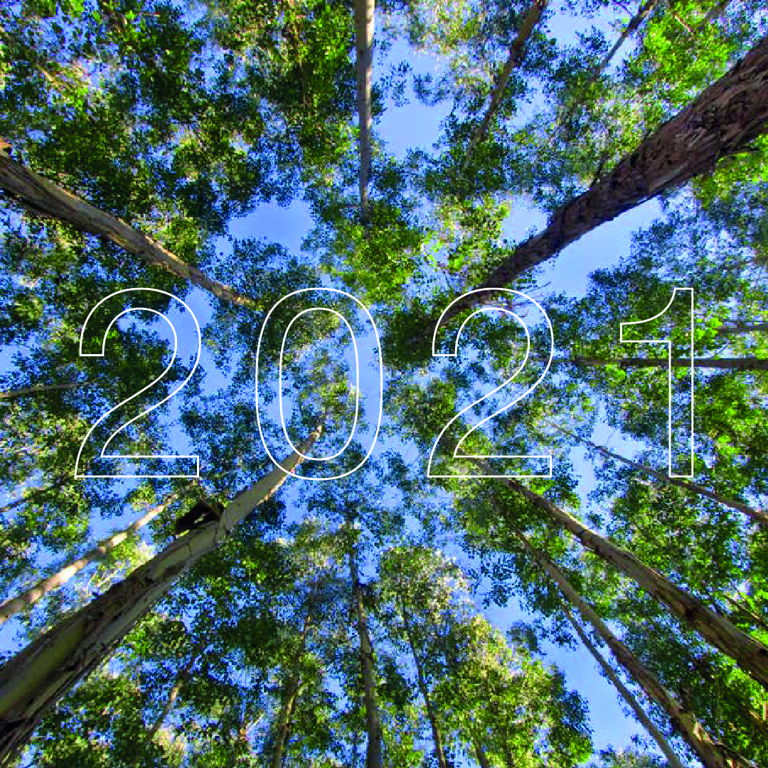 Reporte de Sostenibilidad 2021