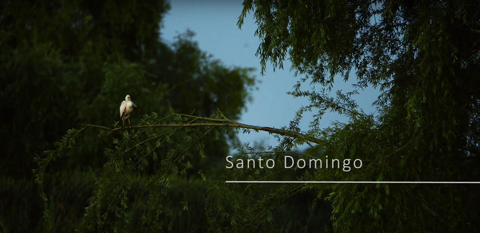 Santo Domingo - Área de Conservación