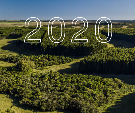 Reporte Sostenibilidad GRI 2020